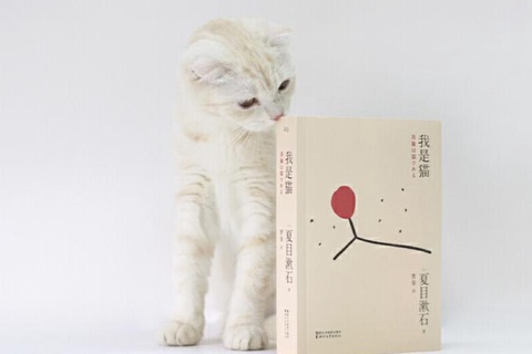 《我是猫》：愚蠢的人类啊，喵