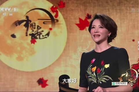 中国诗词大会第二季08