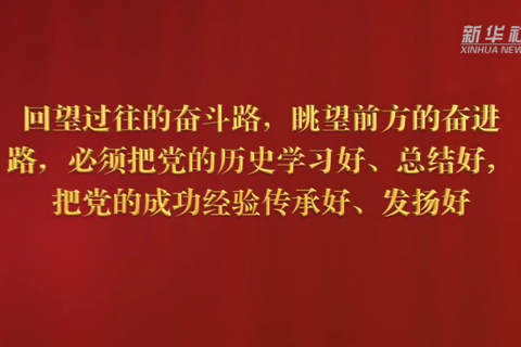 金句来了！一起学总书记在党史学习教育动员大会上的讲话