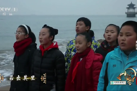 中国诗词大会第二季04
