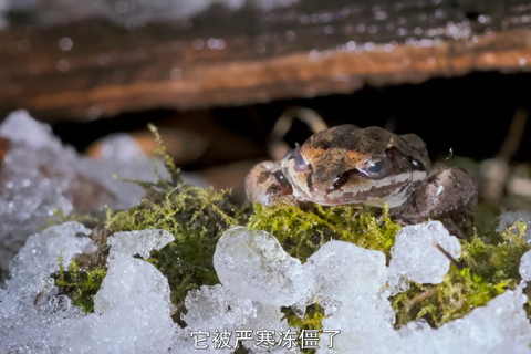 小小世界第二季03