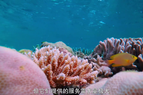 小小世界第二季05