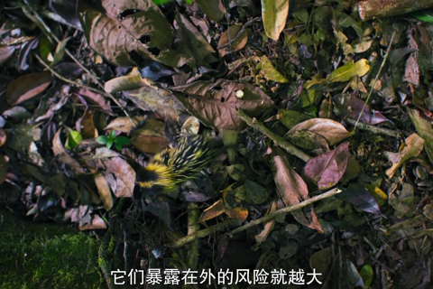 小小世界第二季04