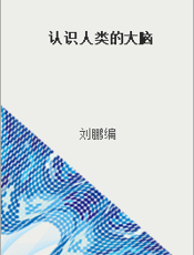 认识人类的大脑