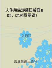 人体颅底部薄层断面MRI、CT对照图谱(下册)