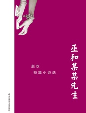 巫和某某先生：赵玫短篇小说选 - 赵玫