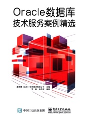 Oracle数据库技术服务案例精选