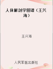 人体解剖学图谱（王兴海）