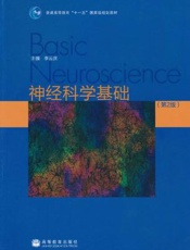 神经科学基础