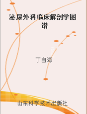泌尿外科临床解剖学图谱