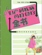 妇产科疾病药疗食疗全书