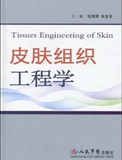 皮肤组织工程学