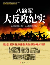 八路军大反攻纪实