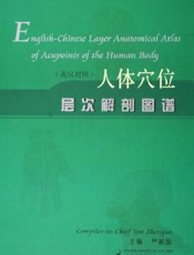 （英汉对照）人体穴位层次解剖图谱
