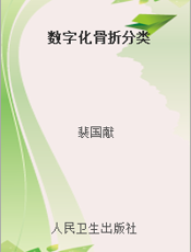 数字化骨折分类