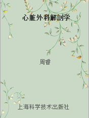 心脏外科解剖学