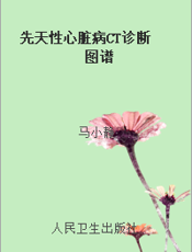 先天性心脏病CT诊断图谱