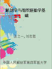 解剖学与组织胚胎学基础