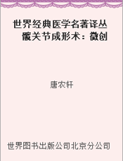 世界经典医学名著译丛 髋关节成形术：微创技术与计算机导航