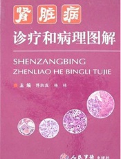 肾脏病诊疗和病理图解