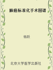 肺癌标准化手术图谱