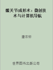 髋关节成形术：微创技术与计算机导航
