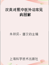 汉英对照中医外治常见病图解