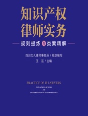 知识产权律师实务：规则提炼与类案精解-四川力久律师事务所组织,王芸