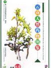 云南天然药物图鉴 第一卷