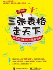 三张表格走天下菜鸟也会Excel数据分析第2版