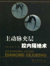 主动脉夹层腔内隔绝术