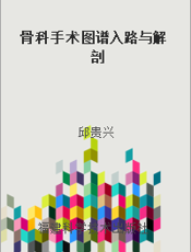 骨科手术图谱入路与解剖
