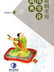 简明实用伤寒论词典