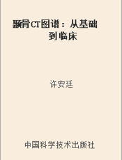 颞骨CT图谱：从基础到临床
