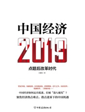 中国经济2019（指点迷雾下的中国机遇） - 王德培