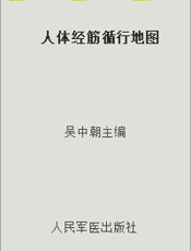 人体经筋循行地图