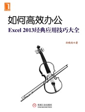 如何高效办公：Excel2013经典应用技巧大全
