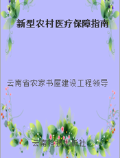 新型农村医疗保障指南