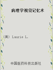病理学视觉记忆术