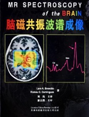 脑磁共振波谱成像