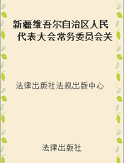 新疆维吾尔自治区人民代表大会常务委员会关于确定刑事案件可以延长办案期限的边远地区的决定