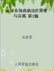 泌尿系统疾病治疗原理与实践 第2版
