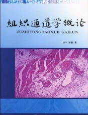组织通道学概论